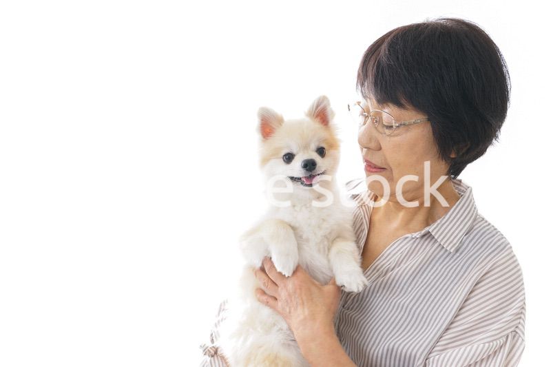 犬を買うシニア女性