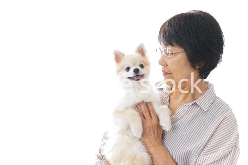 犬を買うシニア女性