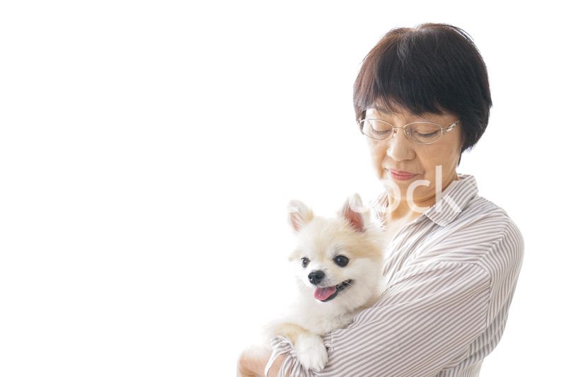 犬を買うシニア女性