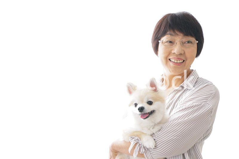 犬を買うシニア女性
