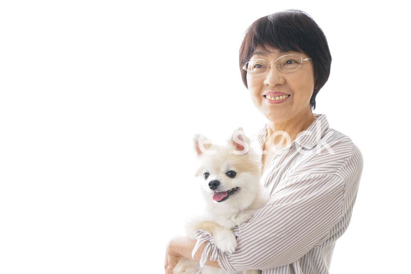 犬を買うシニア女性