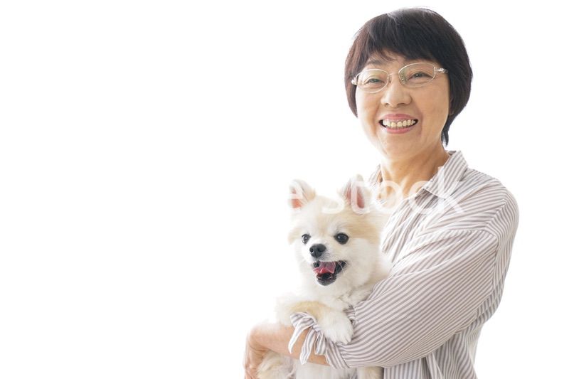 犬を買うシニア女性