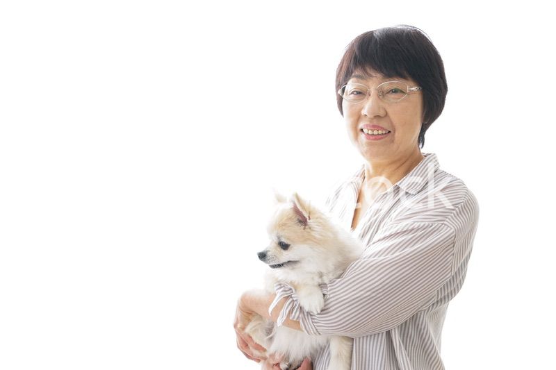 犬を買うシニア女性