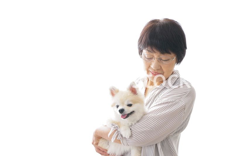 犬を買うシニア女性