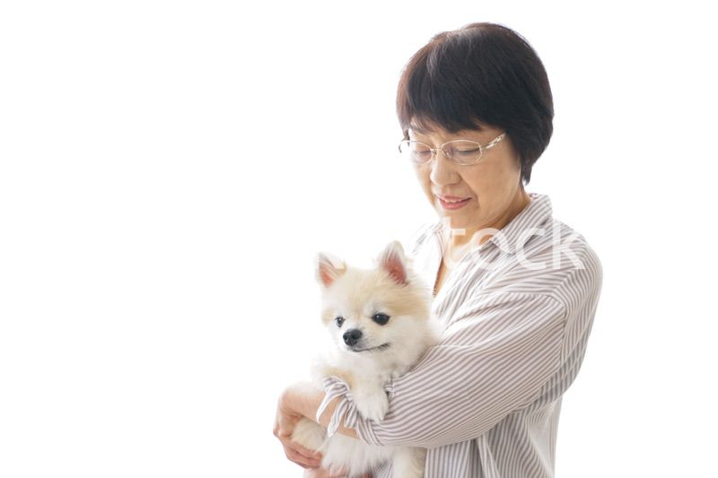 犬を買うシニア女性