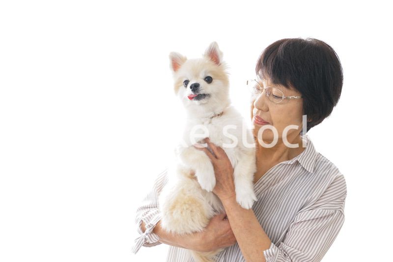 犬を買うシニア女性