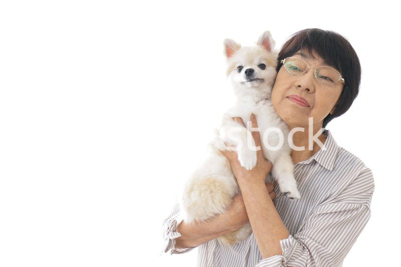 犬を買うシニア女性