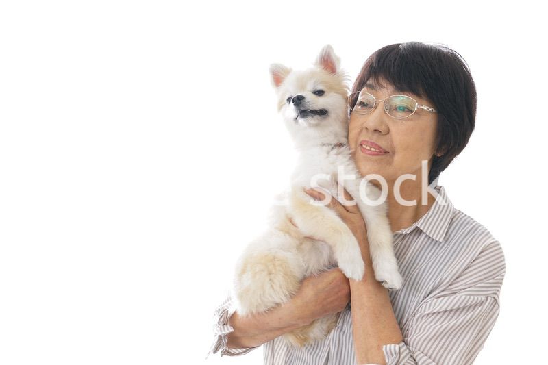 犬を買うシニア女性