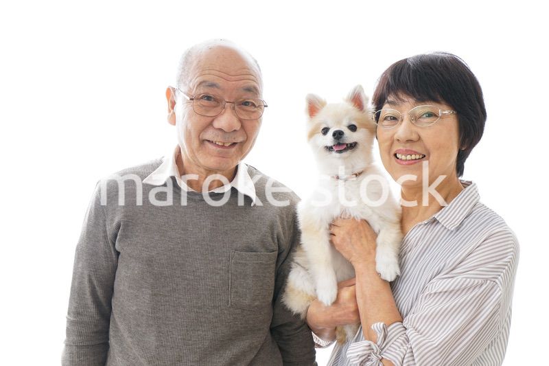 ペットを飼う高齢者夫婦