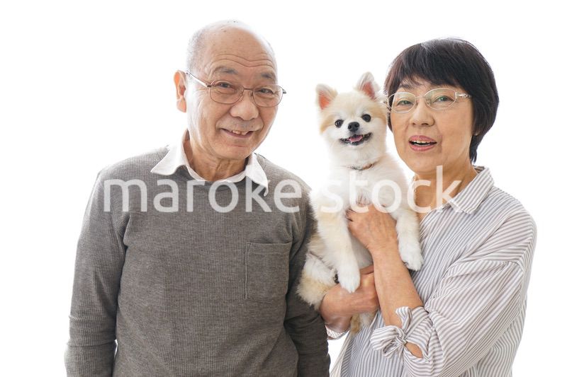 ペットを飼う高齢者夫婦