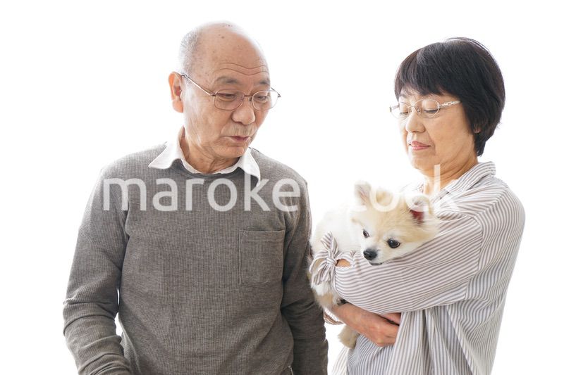 ペットを飼う高齢者夫婦