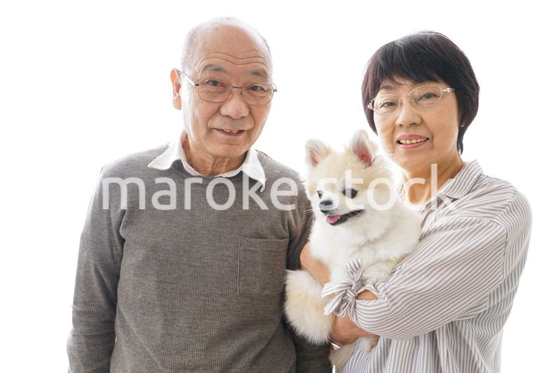 ペットを飼う高齢者夫婦