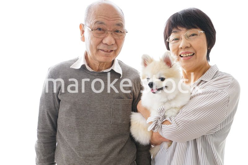 ペットを飼う高齢者夫婦
