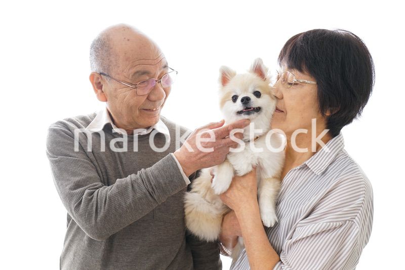 ペットを飼う高齢者夫婦