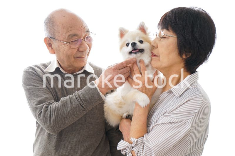 ペットを飼う高齢者夫婦
