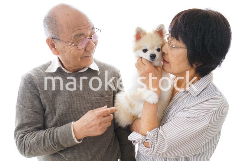 ペットを飼う高齢者夫婦