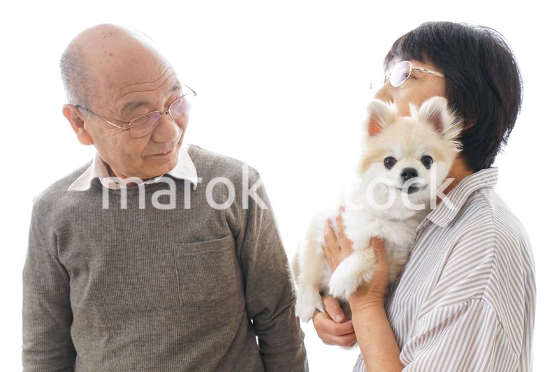 ペットを飼う高齢者夫婦