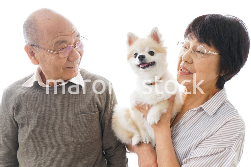 ペットを飼う高齢者夫婦