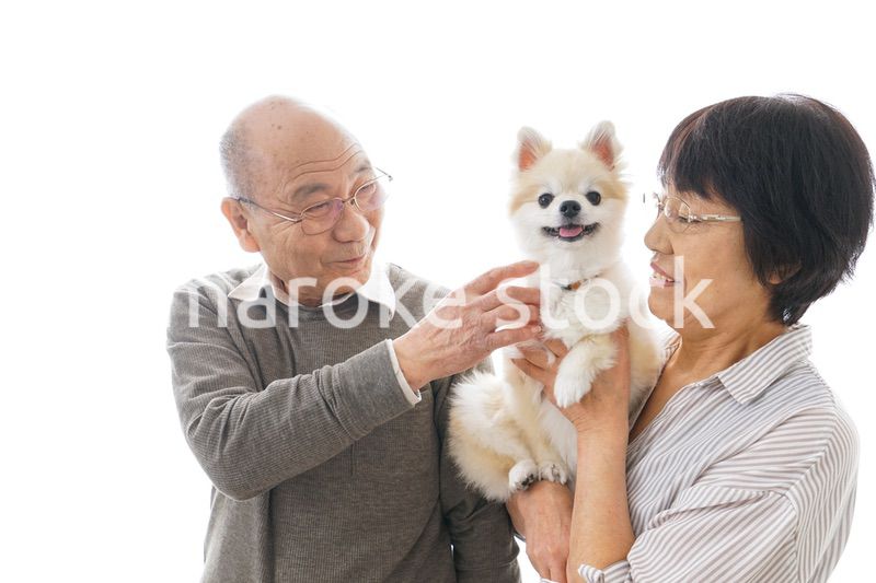 ペットを飼う高齢者夫婦