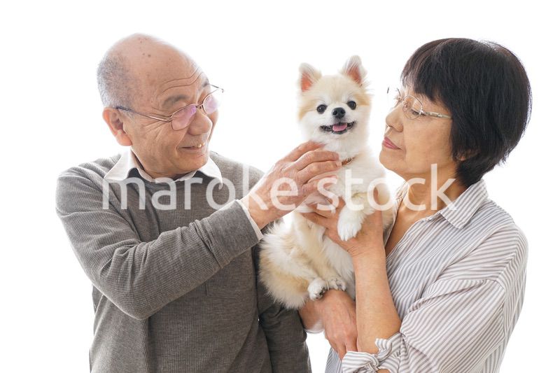 ペットを飼う高齢者夫婦