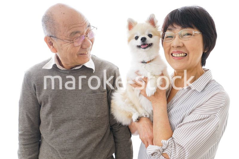 ペットを飼う高齢者夫婦