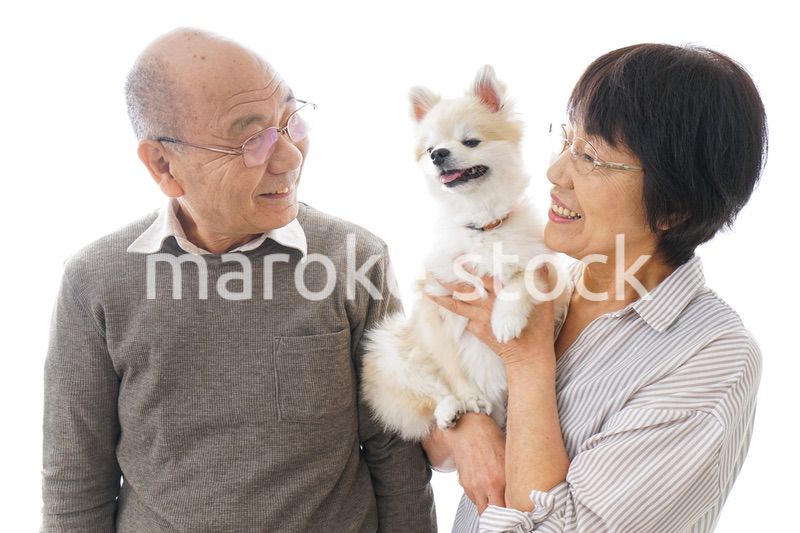 ペットを飼う高齢者夫婦