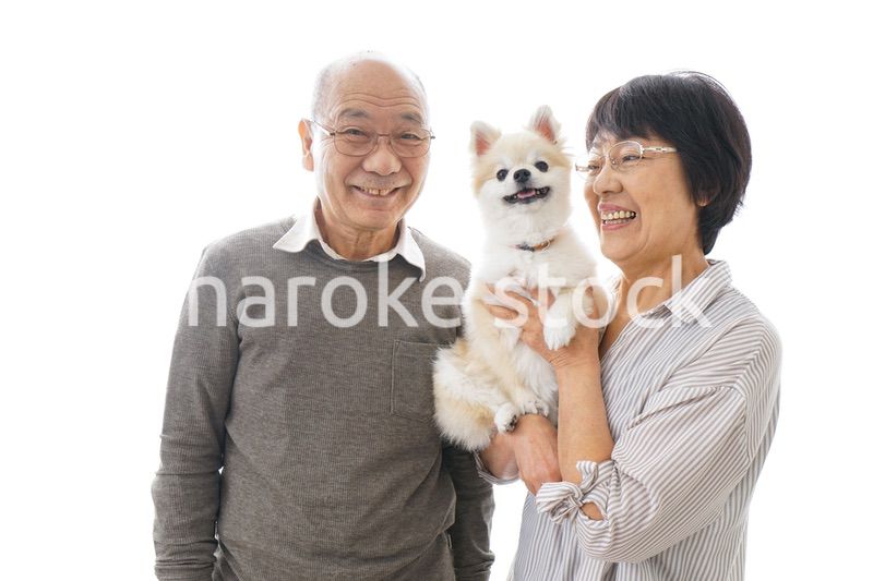 ペットを飼う高齢者夫婦