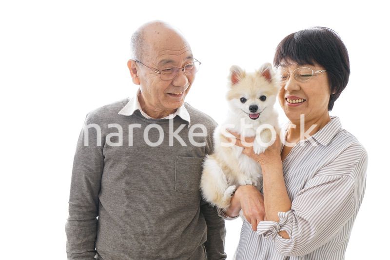 ペットを飼う高齢者夫婦