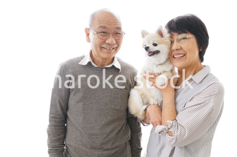 ペットを飼う高齢者夫婦