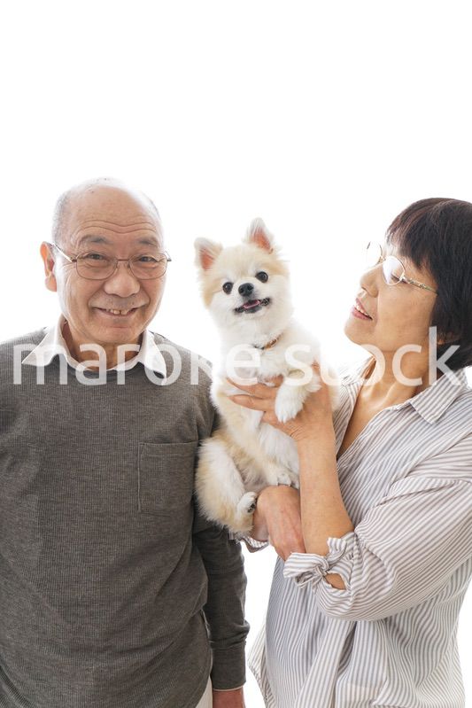 ペットを飼う高齢者夫婦