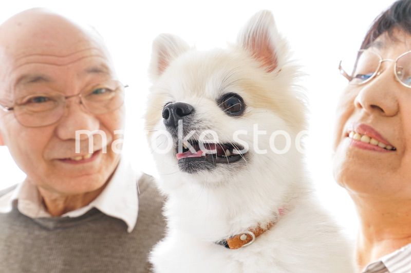 ペットを飼う高齢者夫婦