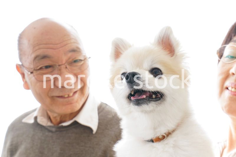 ペットを飼う高齢者夫婦