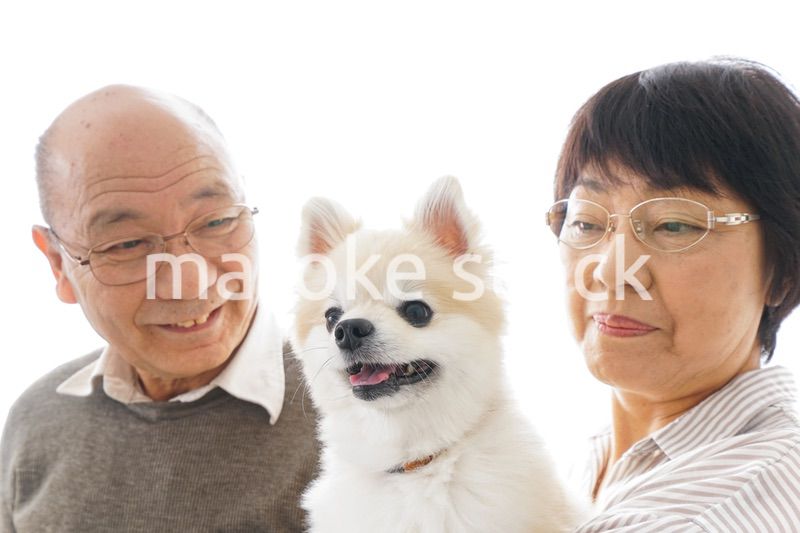 ペットを飼う高齢者夫婦