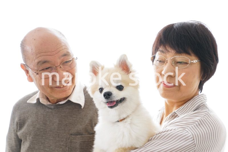 ペットを飼う高齢者夫婦