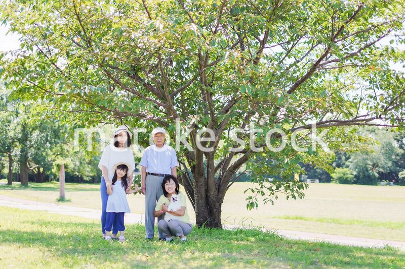 外で遊ぶ幸せな家族