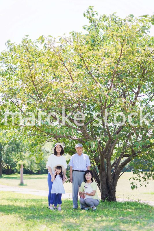 外で遊ぶ幸せな家族