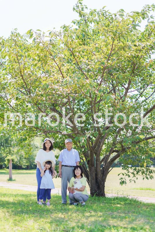 幸せなファミリー・家族イメージ