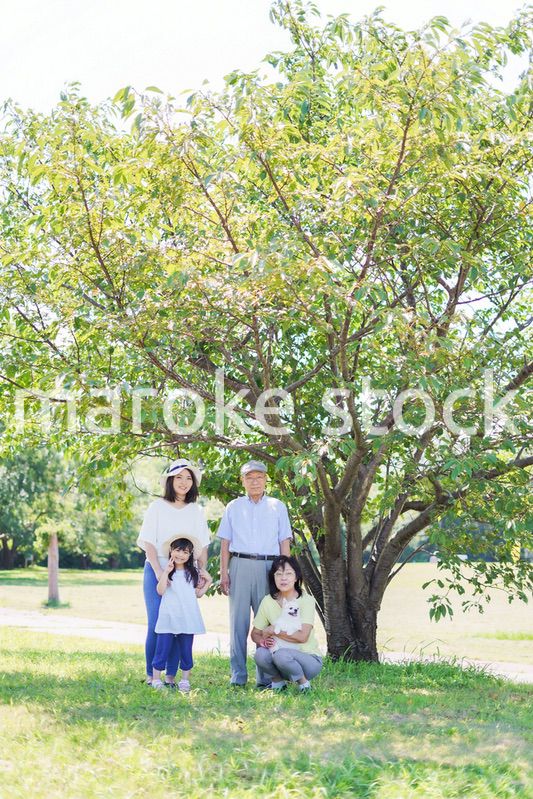 外で遊ぶ幸せな家族