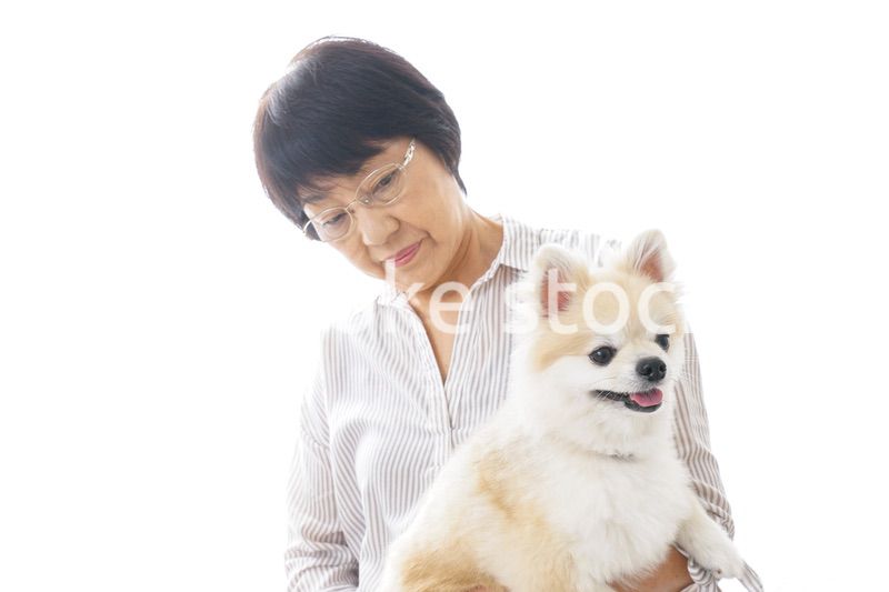 犬を買うシニア女性