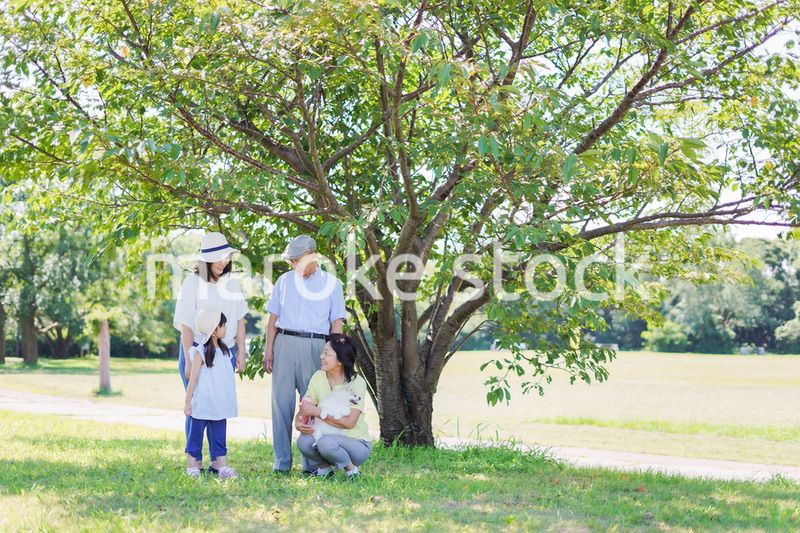 外で遊ぶ幸せな家族