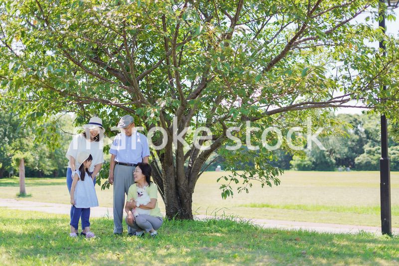 幸せなファミリー・家族イメージ