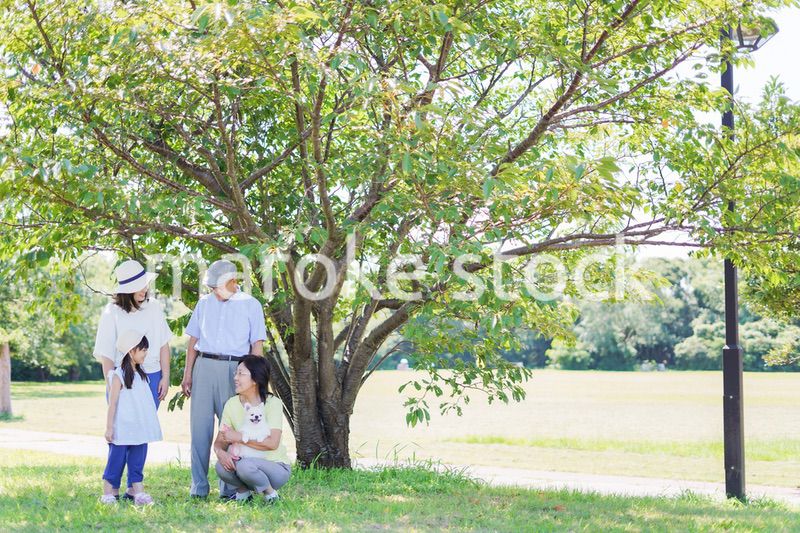 外で遊ぶ幸せな家族