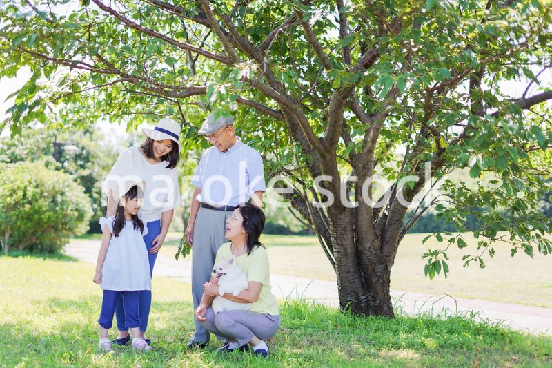 外で遊ぶ幸せな家族