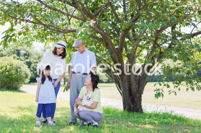 外で遊ぶ幸せな家族
