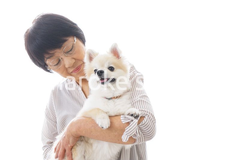 犬を買うシニア女性