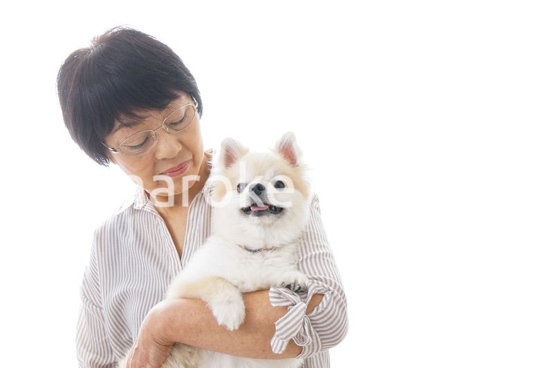 犬を買うシニア女性