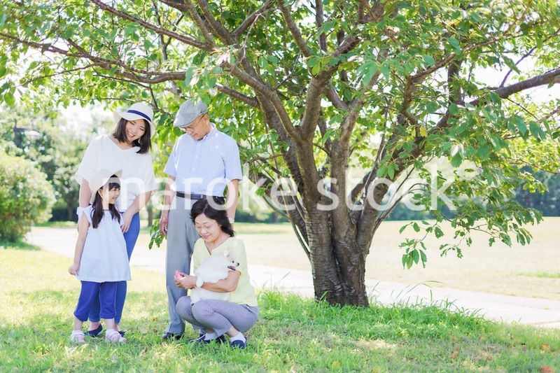 外で遊ぶ幸せな家族