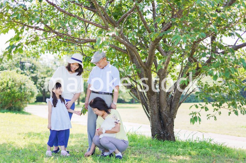 外で遊ぶ幸せな家族