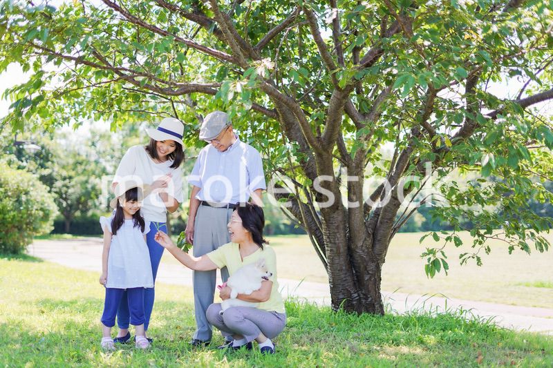 外で遊ぶ幸せな家族