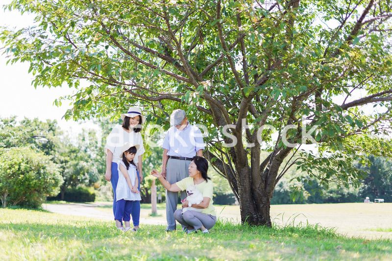 外で遊ぶ幸せな家族
